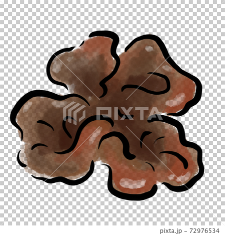 Kikurage Illustration Watercolor Brush Hand-painted Kikurage Illustration Watercolor Brush Hand-painted 72976534