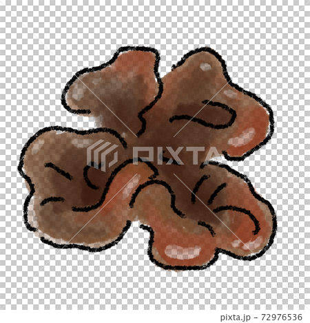 Kikurage Illustration Watercolor Hand-painted Kikurage Illustration Watercolor Hand-painted 72976536