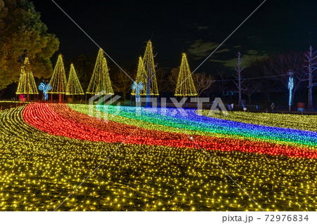 岐阜県海津市 木曽三川公園センターのイルミネーションイベント 冬の光物語の写真素材