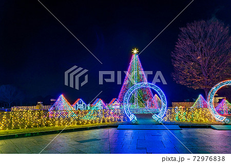 岐阜県海津市 木曽三川公園センターのイルミネーションイベント 冬の光物語の写真素材