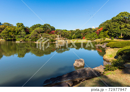 東京庭園巡り、特別名勝　本郷駒込六義園　 72977947