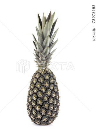 pineapple in studio pineapple in studio 72978562
