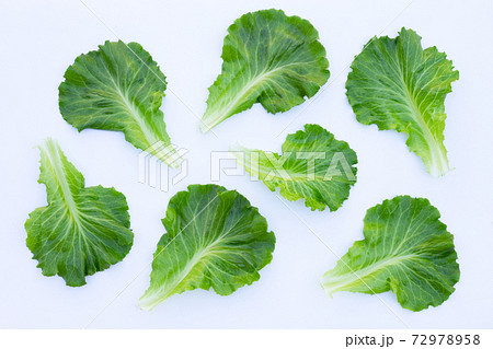 Lettuce leaves on white background. Top view 72978958