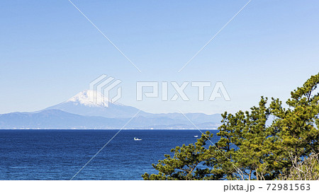 湘南三浦半島の富士山の見えるキャベツ畑の冬 湘南三浦半島の富士山の見えるキャベツ畑の冬 72981563