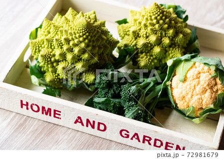 ロマネスコ・オレンジカリフラワー・スティックセニョール 72981679