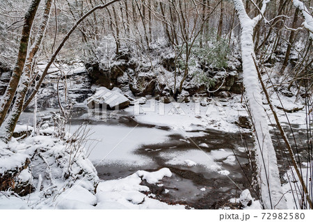 冬の菊池渓谷の雪と氷の風景 72982580
