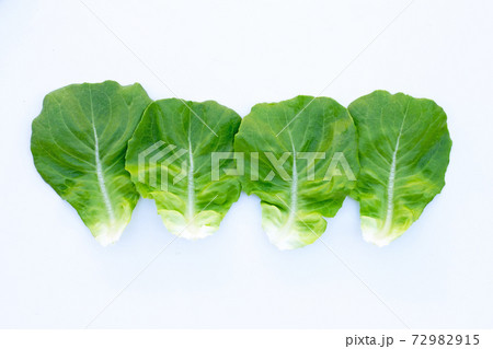 Lettuce leaves on white background. 72982915