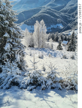 Beautiful winter in mountains 72985957