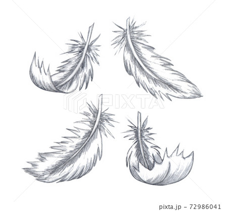 Watercolor feather set. Hand drawn white feathers isolated on white background. 72986041
