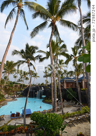 ハワイ hawaii ハワイ hawaii 72987244