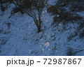 ダイヤモンドダスト 72987867