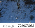 ダイヤモンドダスト 72987868