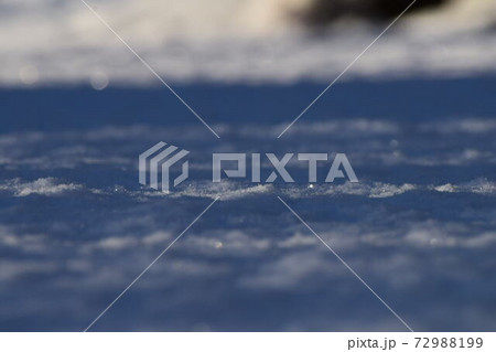 積もった新雪 72988199