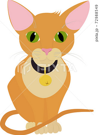 Red ginger Cat with green eyes. Vector Illustration Red ginger Cat with green eyes. Vector Illustration 72988549