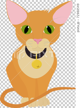 Red ginger Cat with green eyes. Vector Illustration Red ginger Cat with green eyes. Vector Illustration 72988549