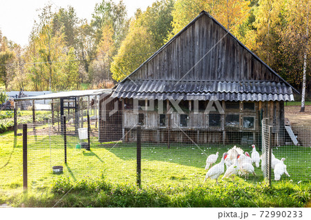 Outbuildings in the farmyard is fenced with a metal mesh 72990233