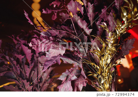 Purple maple leaves with golden branches Purple maple leaves with golden branches 72994374
