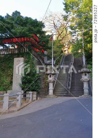 【新宿区】市谷亀岡八幡宮 72995227