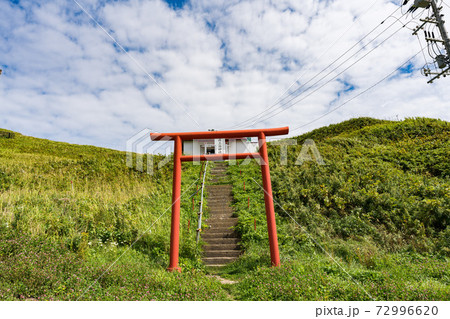 鳥居 礼文島 ハイキング 岬めぐり 鳥居 礼文島 ハイキング 岬めぐり 72996620