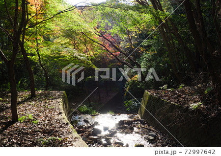 秋の水沢もみじ谷の紅葉に包まれる小川の写真素材