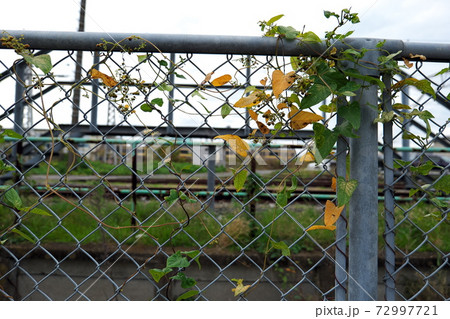 木更津駅 木更津駅 72997721