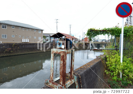 矢那川の風景 72997722