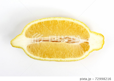 cut along the lemon on a white background cut along the lemon on a white background 72998216