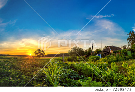 Beautiful sunrise 72998472