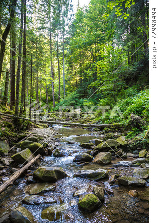 Yaremche, Carpathians, Ukraine 72998494