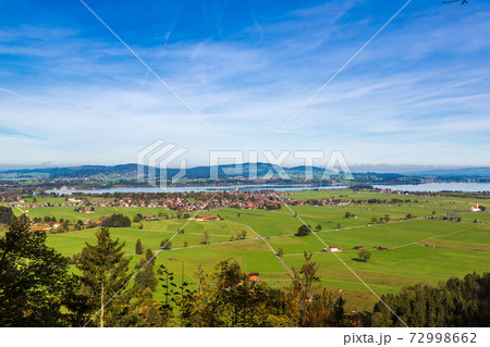 Green fields next to Neuschwanstein Green fields next to Neuschwanstein 72998662