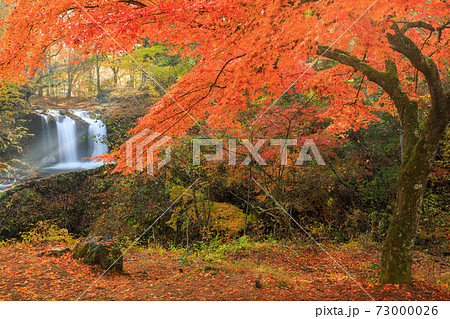 山梨_鐘山の滝の紅葉 73000026