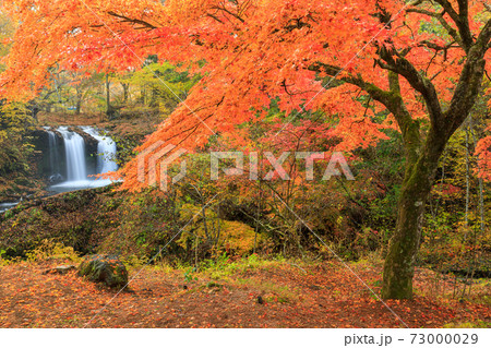 山梨_鐘山の滝の紅葉 73000029
