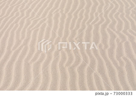 砂丘に現れる風紋の写真素材