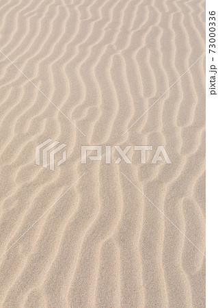 砂丘に現れる風紋 砂丘に現れる風紋 73000336