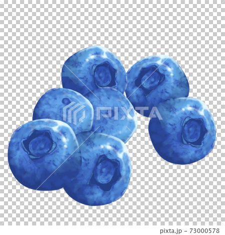 Blueberry fruit Blueberry fruit 73000578