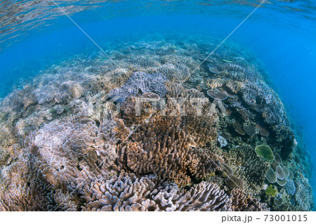 沖縄水中 沖縄水中 73001015