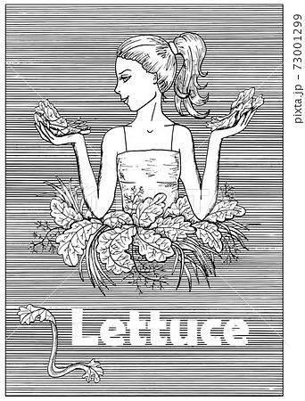 Young beautiful woman holding lettuce over striped background. Hand drawn black and white vector illustration, engraved and vertical, healthy eating, vegan and vegetarian concept.  73001299