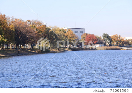埼玉県久喜市久喜菖蒲公園の秋の風景 73001596