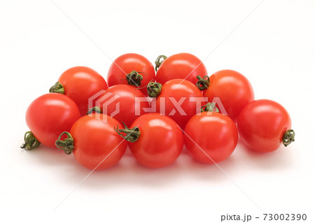 ミニトマト 73002390