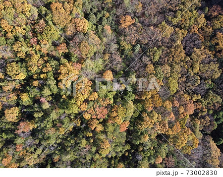 紅葉した山々、ドローン、俯瞰 73002830