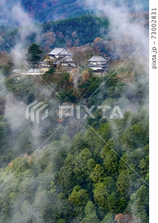 備中松山城の霧 備中松山城の霧 73002831