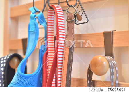 犬の散歩に 73003001