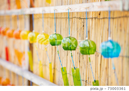 滋賀県 琵琶湖の見える丘 風鈴のよし小道 73003361