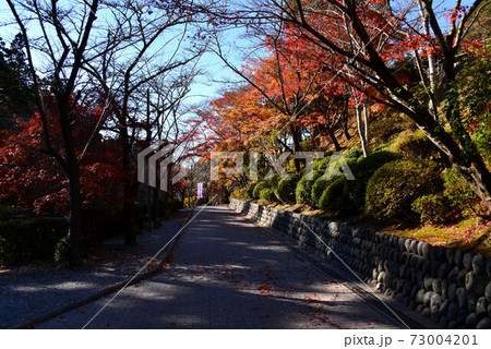 袋井　尊永寺の紅葉 73004201