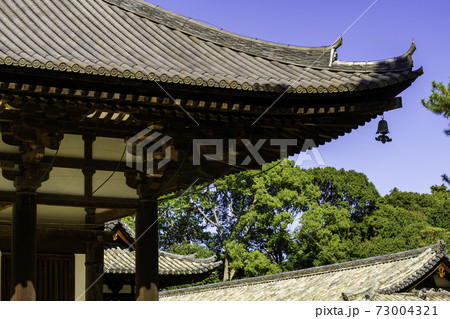 唐招提寺　金堂　奈良県奈良市 73004321