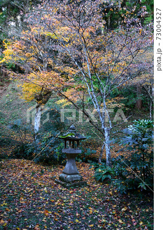 森町　大洞院の紅葉 73004527