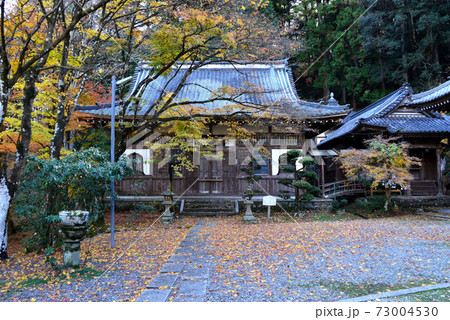 森町　大洞院の紅葉 73004530