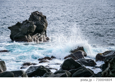 城ヶ崎海岸の岩場と波しぶき 城ヶ崎海岸の岩場と波しぶき 73004804
