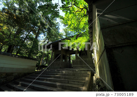 浜松　龍潭寺 73005189