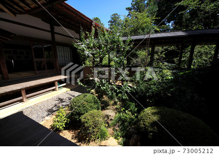 浜松　龍潭寺 73005212